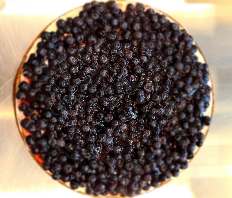 Tarte aux myrtilles